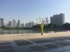 -西北湖绿化广场