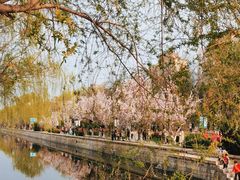 -海棠花溪(元大都城垣遗址公园)