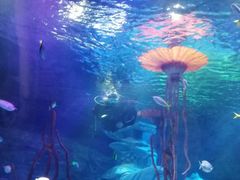 -沈阳海洋探索中心