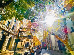 -西湖外事游船(湖滨二公园外事游船码头)