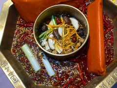 -蜀九香火锅(九眼桥店)