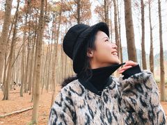 -小芝红树林