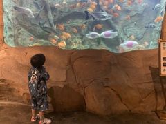 -杭州开元森泊度假乐园