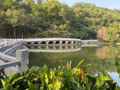 -深圳仙湖植物园