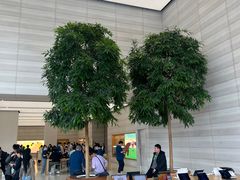 -Apple零售店(济南恒隆广场店)