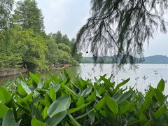 -东湖落雁景区