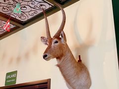 -普兰达德国餐厅·德式脆皮烤猪肘·自酿啤酒(观唐店)