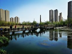 -前关湿地公园