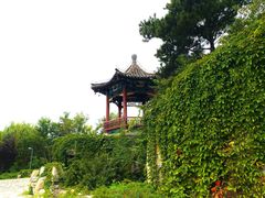 -大兴滨河森林公园