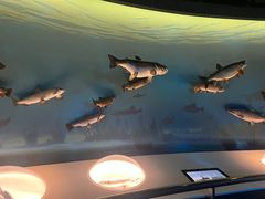 -陕西自然博物馆