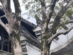 -蒋氏故居