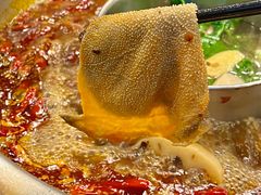 -金鼎雪山牦牛杂火锅(理县总店)