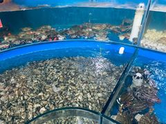 -顶之鲜海鲜餐厅