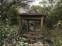 -汇龙潭