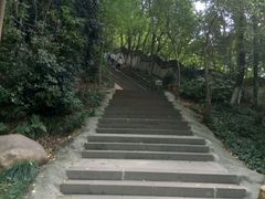 -赭山公园