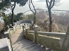 -上海市保健医疗中心