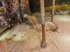 -正佳雨林生态植物园