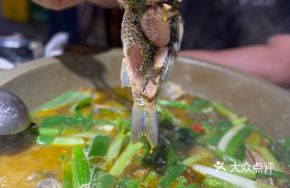 Signature Stone Pot Mud Carp