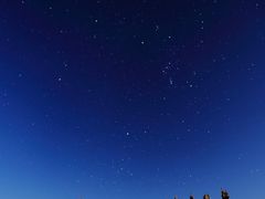 -马学武手抓美食(下南关总店)