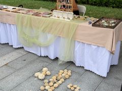 -东北大学附属辽宁爱尔眼科医院