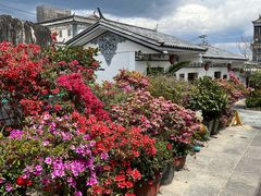 -瑞丰园庭院餐厅·白族传统家常菜