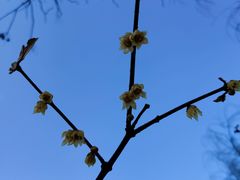 -北极寺公园