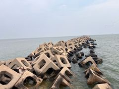 -东疆建设开发纪念公园