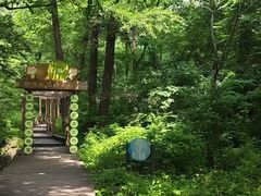 -大岭沟猕猴桃谷风景区