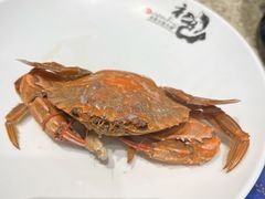 鲜活螃蟹-初色海鲜自助(万丰路店)