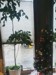 -香秀空间科技抗衰·美容中心