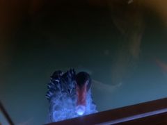 -春晖园度假酒店温泉