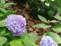 -常州古运河南大街文化旅游区-人民公园