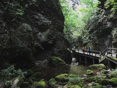 -牛背梁国家森林公园