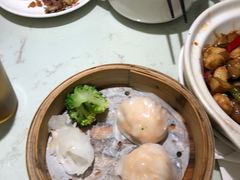 -南枝记