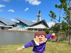 -盐城丹顶鹤湿地生态旅游区