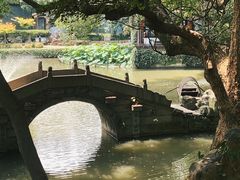-绮园景区