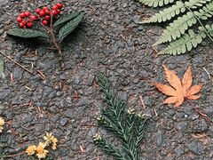 -山王坪喀斯特国家生态公园