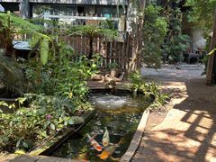 -Fern Forest Cafe