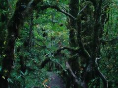 -龙苍沟森林公园