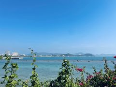 -JW万豪厨房餐厅·滨海草坪烧烤·海鲜·海景(三亚绿发山海天JW万豪酒店)