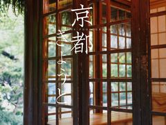 -中国茶叶博物馆(双峰馆区)