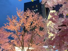 -首开·龙湖成都西宸天街