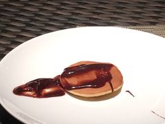 -西双版纳融创皇冠假日度假酒店