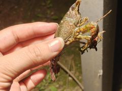 -滨湖塘西河公园