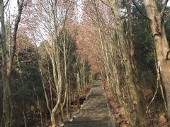 -窦圌山风景区