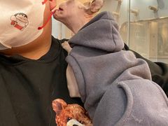 -BABIT巴比特宠物(MOMOPARK店)