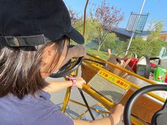 -上海长兴岛郊野公园