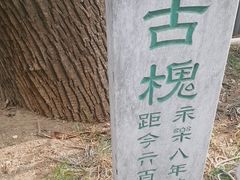 -大厂清真寺