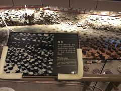 -元代水闸遗址博物馆