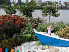 -荷兰花海